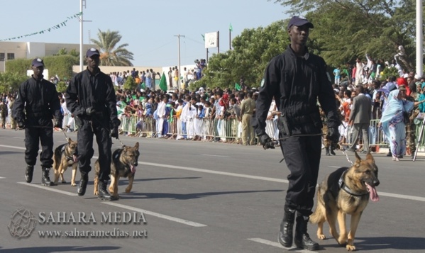 Un bus transportant des quantités de drogue intercepté à l’entrée de Nouakchott