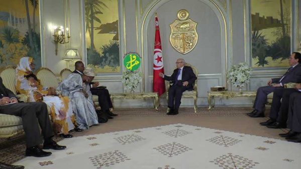 La ministre déléguée auprès du ministre des affaires étrangères reçue par le Président tunisien