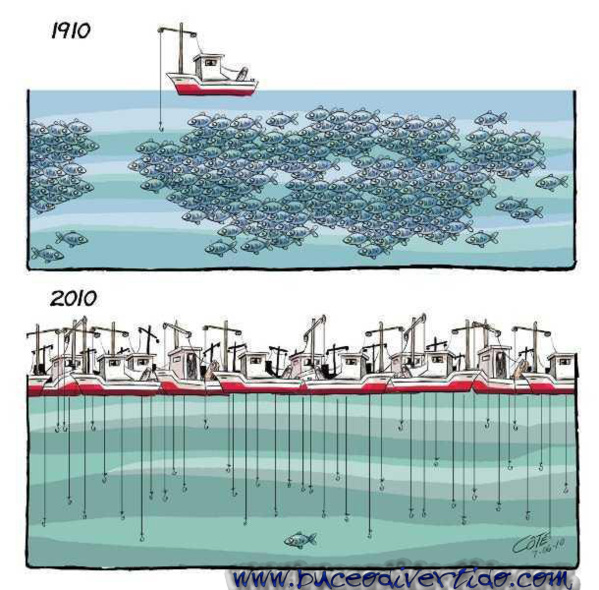 Le ministre des pêches : le secteur des pêches a connu un bond en avant sur la bonne voie