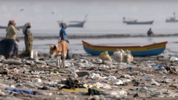 Le ministère des pêches organise une campagne d’assainissement du littoral de Nouakchott