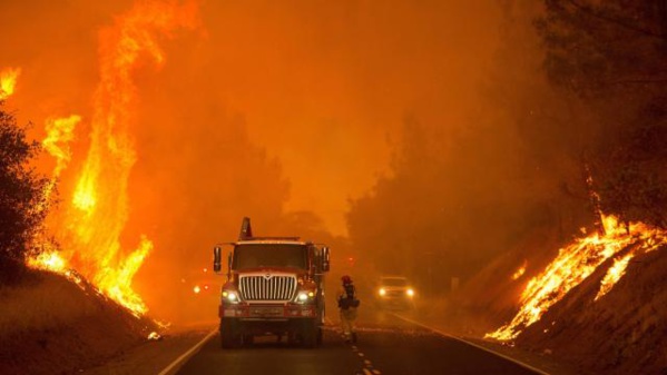 Italie : multiples incendies, le parc national du Vésuve en feu