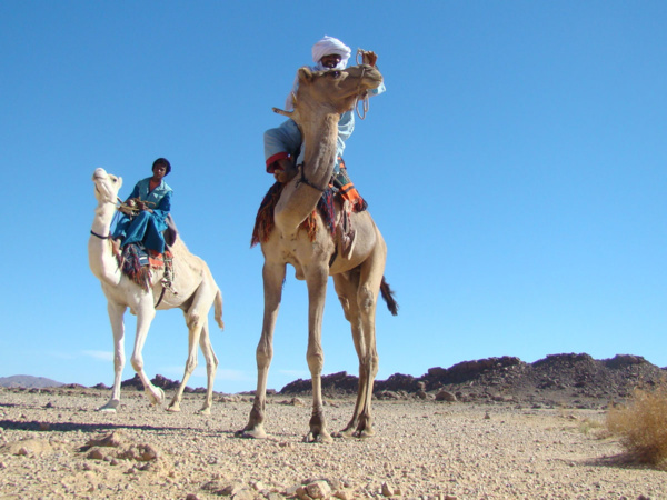 Mauritanie 2017 -2018 :  une saison touristique prometteuse