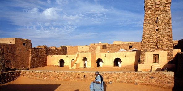 Mauritanie – Tourisme : voyage à la découverte des fleurs du désert