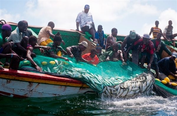 Accords de pêche Mauritanie-Sénégal : Poissons contre Opposants