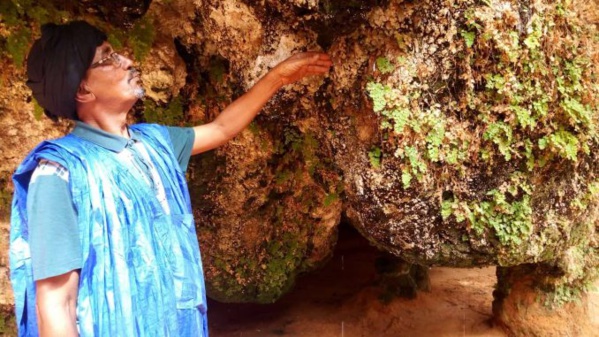 « Ouâd » Ehel Hejaje, un coin de paradis dans le Nord mauritanien