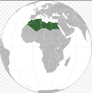 Le Président de la République souligne que l’Afrique du Nord recèle d’immenses potentialités naturelles