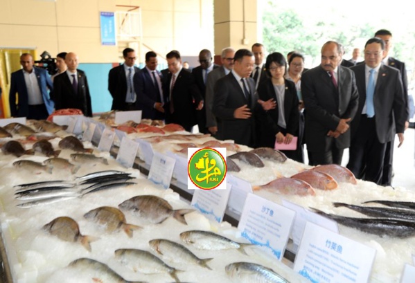 Le Président de la République visite le siège de la société chinoise Poly Hondone-Pelagic Fishing