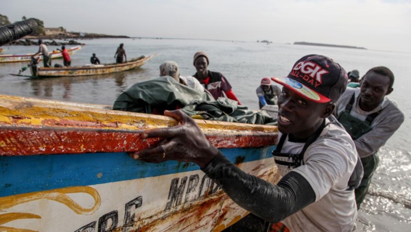 Mauritanie : Greenpeace s'inquiète pour les pêcheurs sénégalais