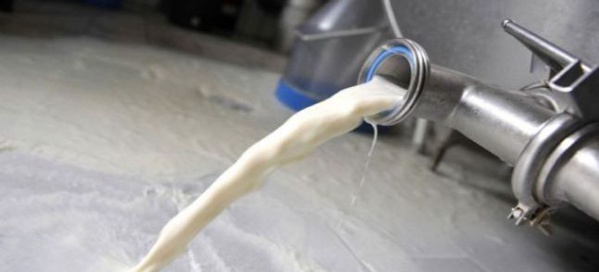 Plus de 63% des exportations de lait va en Mauritanie