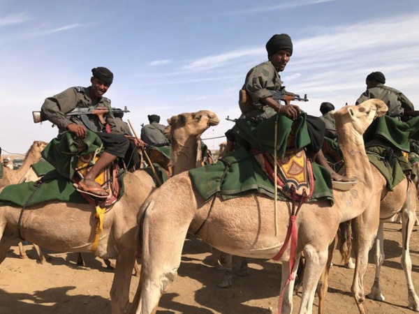 En Mauritanie, l’armée patrouille à dos de chameau