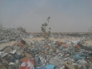 Chaleur et ordures, Nouakchott étouffe