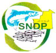 La SNDP ouvre 103 points de distribution de poisson à Nouakchott