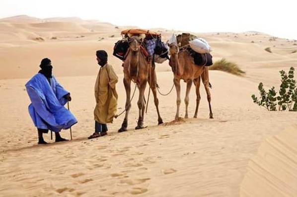 Après le Covid-19 et la fièvre Crimée-Congo, la Mauritanie fait face à la fièvre de la vallée du Rift