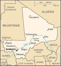 Mali - Mauritanie : mutualiser les efforts face aux défis communs