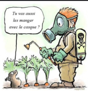 Rosso : Réception de 7800 tonnes de pesticides importés par le CSA