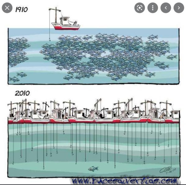 L'UE et la Mauritanie annoncent la conclusion des négociations pour un nouvel accord de pêche