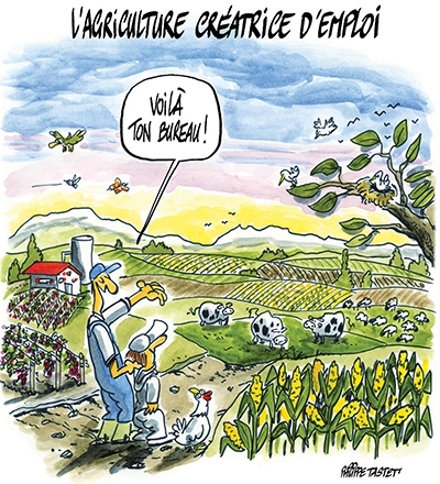 L'Etat reprendra les terres non cultivées, avertit le Ministre de l'agriculture