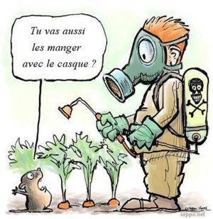 Le directeur de la promotion de la qualité au ministère du commerce : « aucun problème en ce qui concerne le thé et les résultats seront révélés très prochainement »