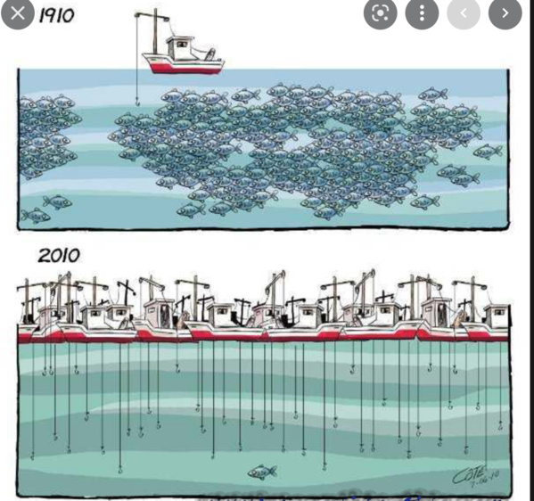 Le ministre des Pêches visite des installations à Nouadhibou