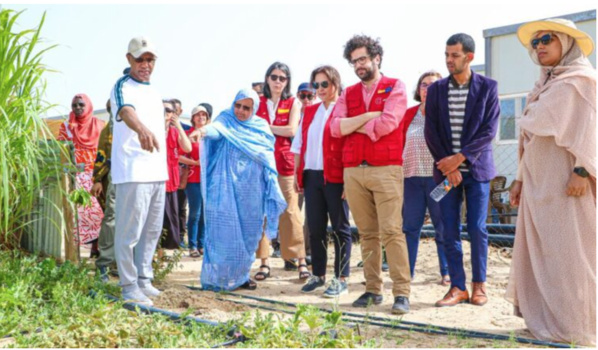 Une délégation de l’Agence espagnole de coopération visite le périmètre pilote du Conseil régional de Nouakchott