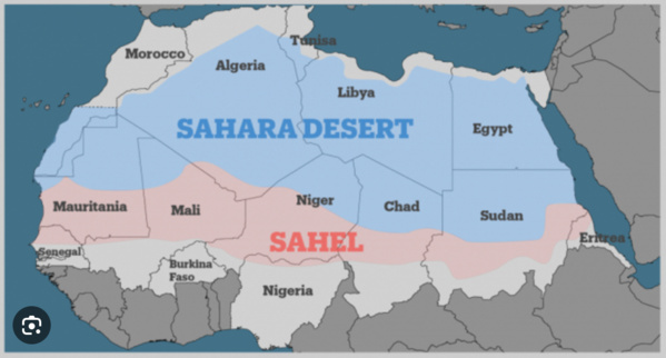 Putschs, terrorisme et désinformation au Sahel