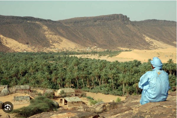 La ‘’Guetna’’ en Adrar : une saison récréative dont certains acteurs tirent largement profit