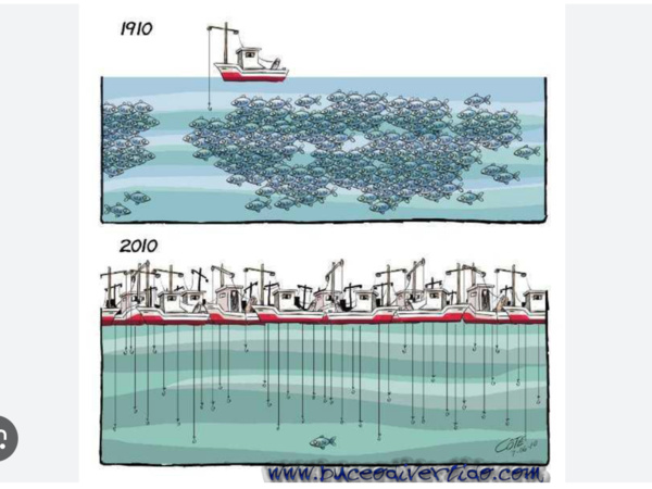 La Pêche sinistrée