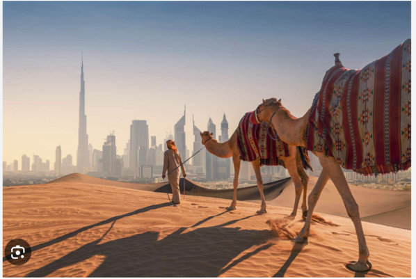 La Mauritanie participe à Dubaï au 10ème Congrès mondial des Zones franches