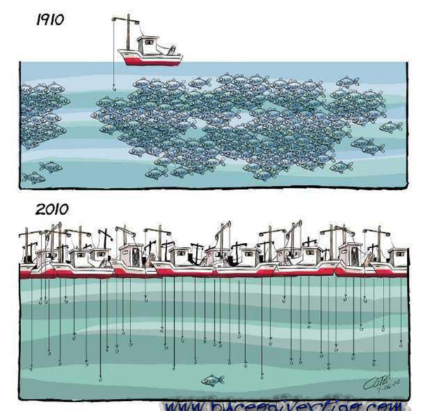 Le Ministre de la Pêche se rend au Royaume du Maroc