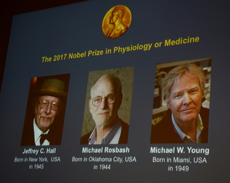 Nobel de médecine: trois spécialistes américains de l'horloge biologique primés