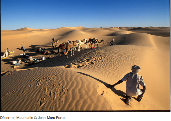 Retour en Mauritanie : les voyages programmés cet hiver