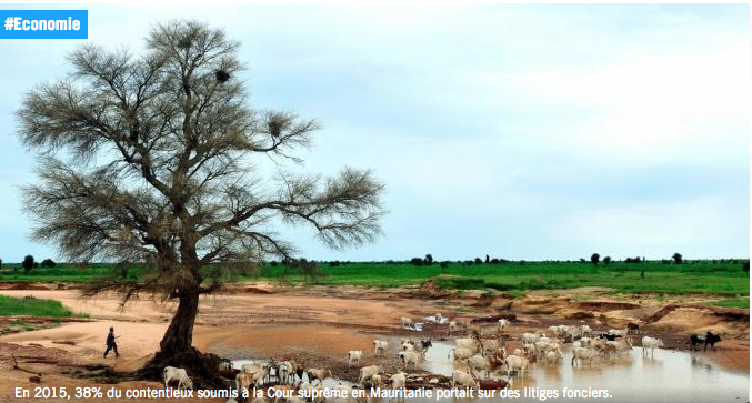 Mauritanie. Sept villages dénoncent des expropriations au profit d'un officier de l’armée