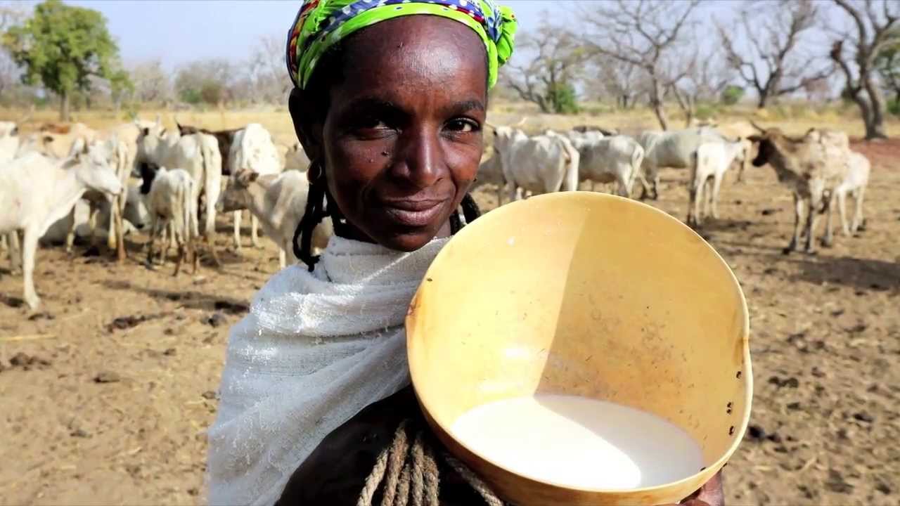 Lancement de la campagne « Mon lait est local »