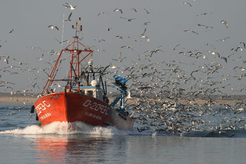 Le ministre des pêches se rend en Sierra Léone