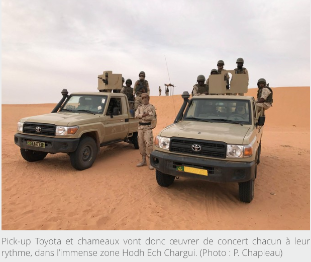 En Mauritanie, l’armée patrouille à dos de chameau