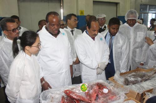 Le Président de la République et son hôte swatini visitent la société de pêche, Hong Dong à Nouadhibou