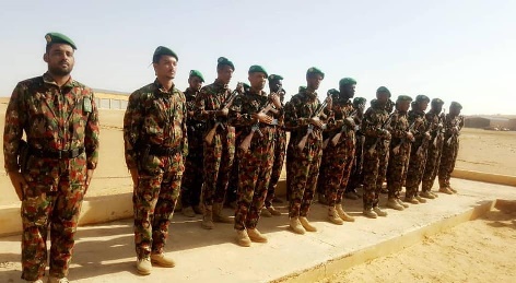 Organisation d’une cérémonie militaire dans la ville d’Aleg