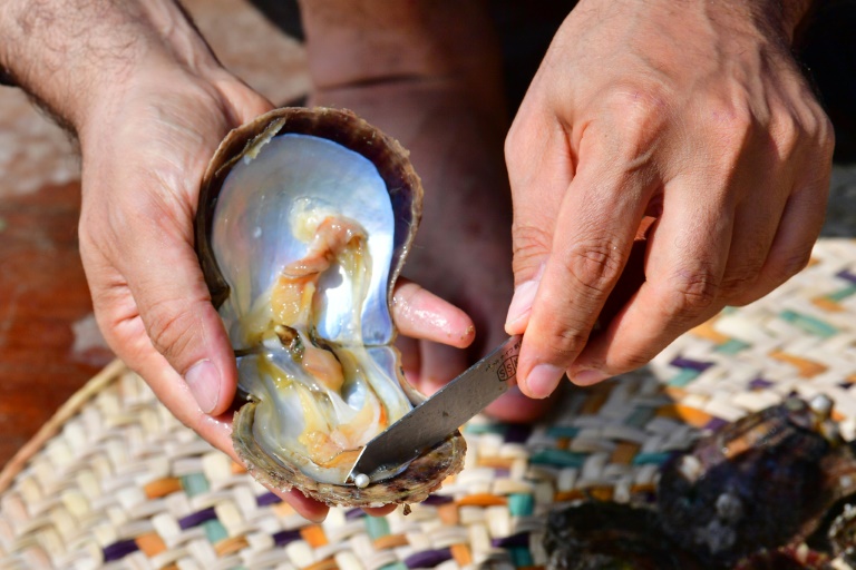 Au large des Emirats, l'ancienne passion des perles perdure