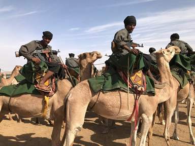 Mauritanie: L’armée déployée au nord du pays