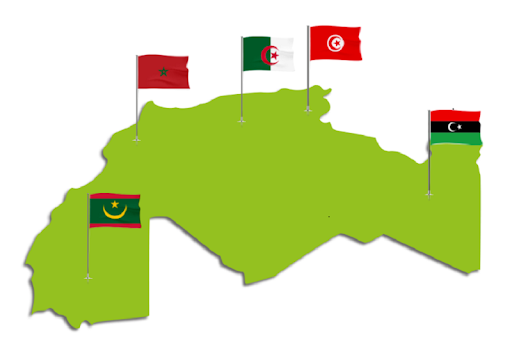 Evolution du Coronavirus dans les 5 pays du Maghreb arabe : La Mauritanie dépasse la Tunisie !