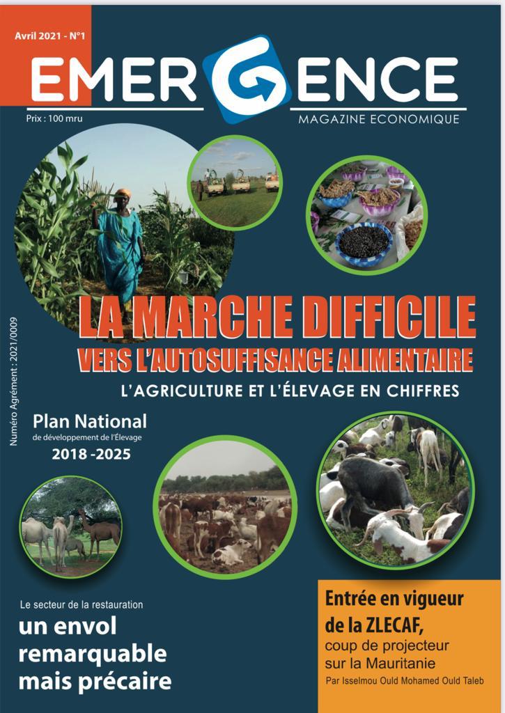 EMERGENCE, Magazine Economique Exclusif