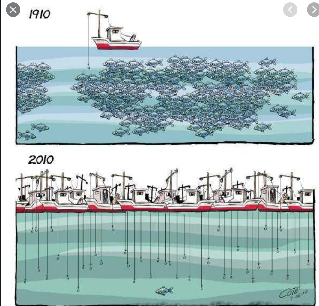 Le ministre des Pêches reçoit le chef de la délégation de l'Union européenne