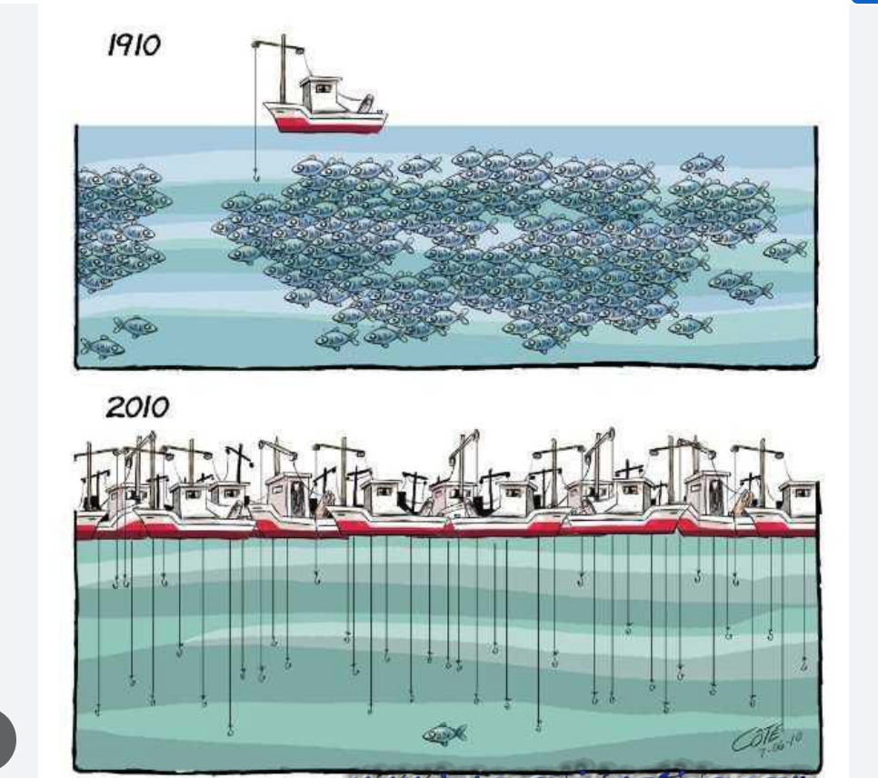 Le Sénégal va s’inspirer de l’expérience mauritanienne pour développer le marché de poisson de Dakar