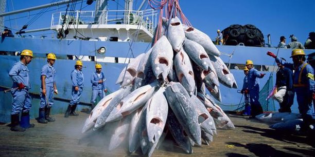 Le ministre des pêches et de l’économie maritime se rend au Japon