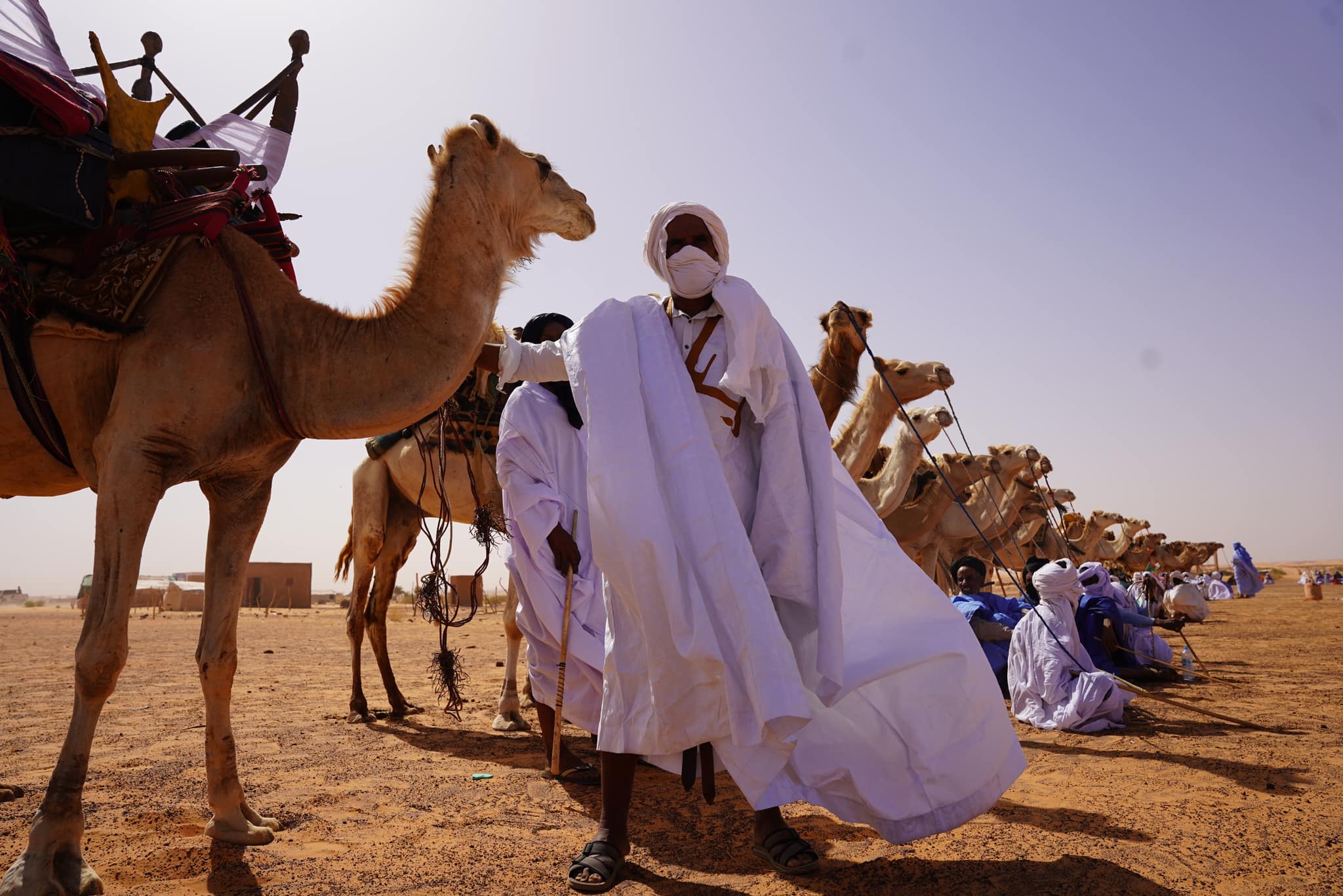 Belles photos en Adrar : tout ce qu'il y a de beau a été sorti pour accueillir Taazour dans le village de Ouraidh 