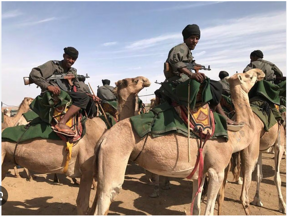 Manœuvres aux armes lourdes de l’armée mauritanienne au nord de Nouakchott