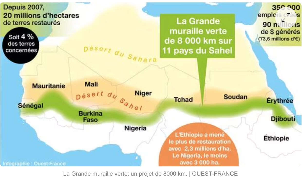 Grande Muraille Verte de Mauritanie, l’ONG « Nature Mauritanie » met en place un Comité national de suivi de la Biodiversité