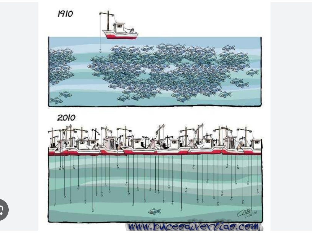 La Pêche sinistrée