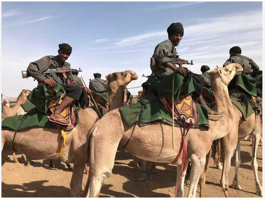 L’armée mauritanienne : notre frontière avec le Mali n’a pas été violée