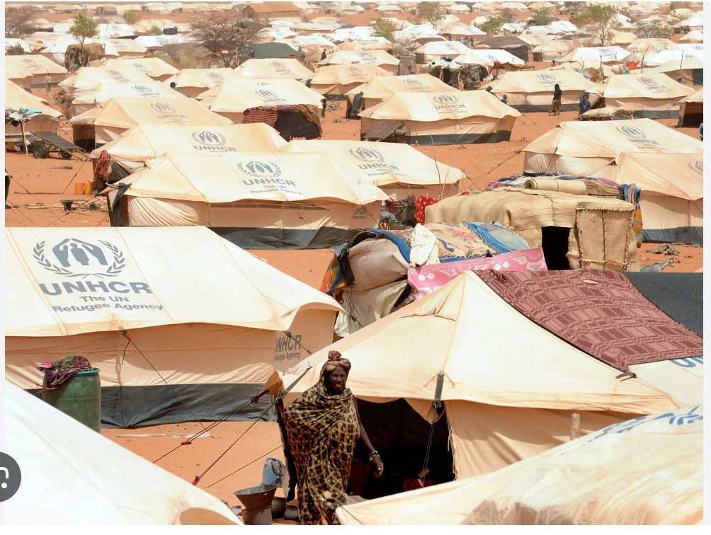 Réfugiés maliens : la Mauritanie appelle ses partenaires à redoubler d’efforts pour soutenir ceux déployés par le pays en matière d’accueil